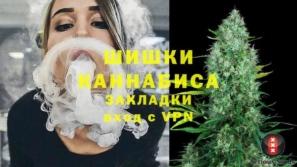гидра Карталы
